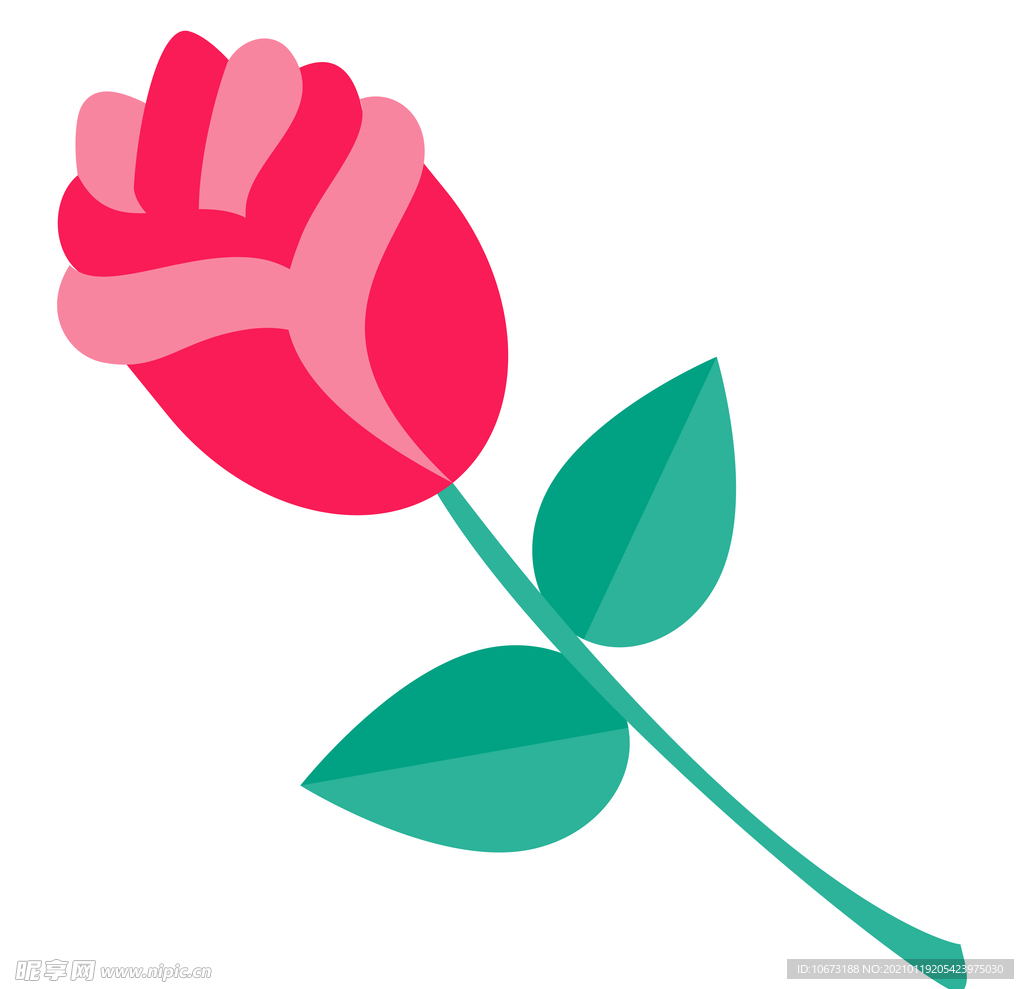 玫瑰花