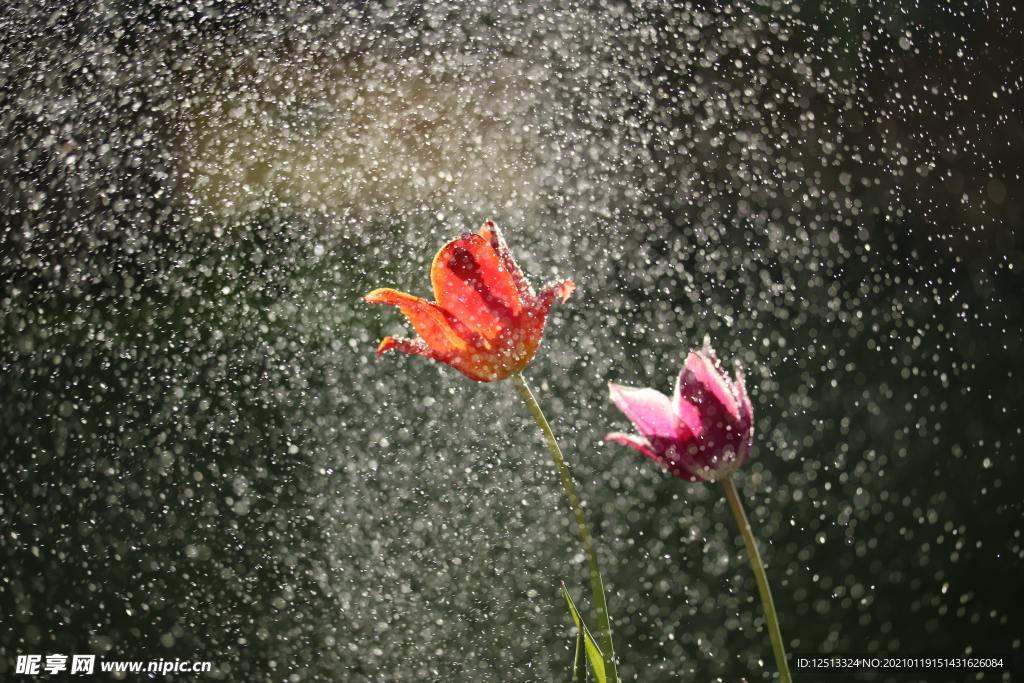 下雨天