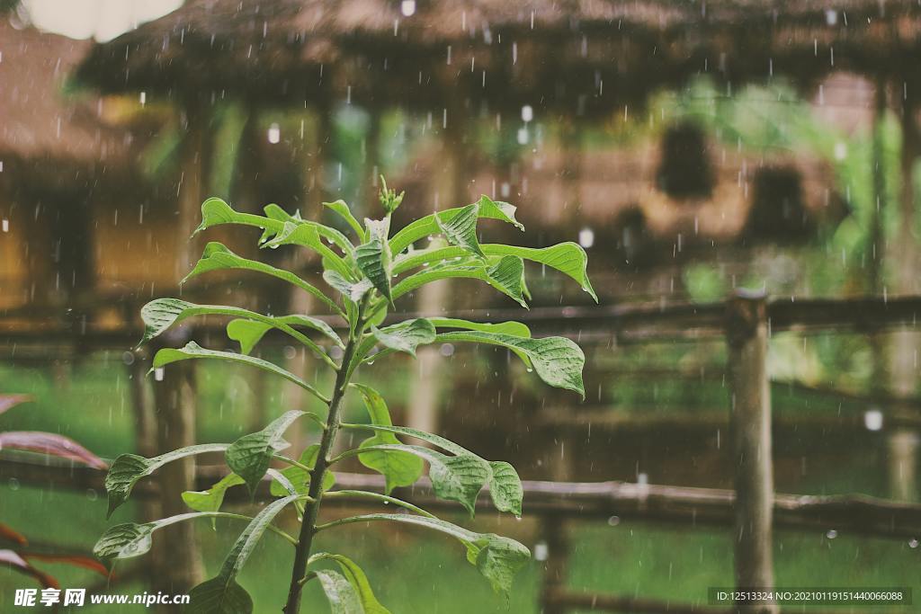 下雨天