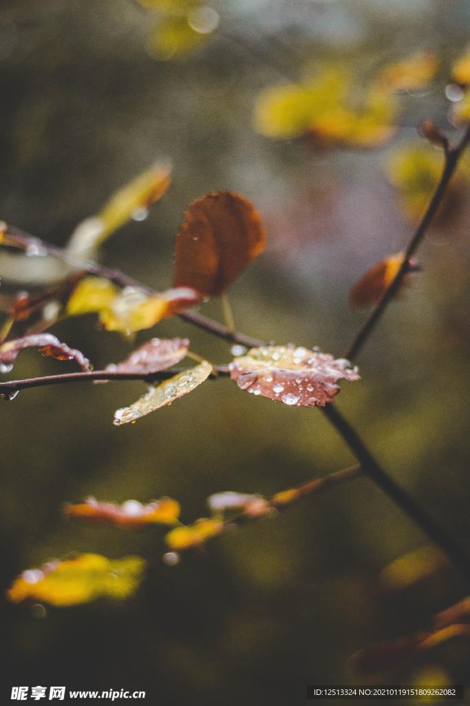 下雨天