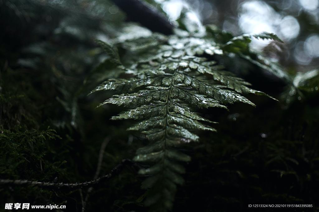 下雨天