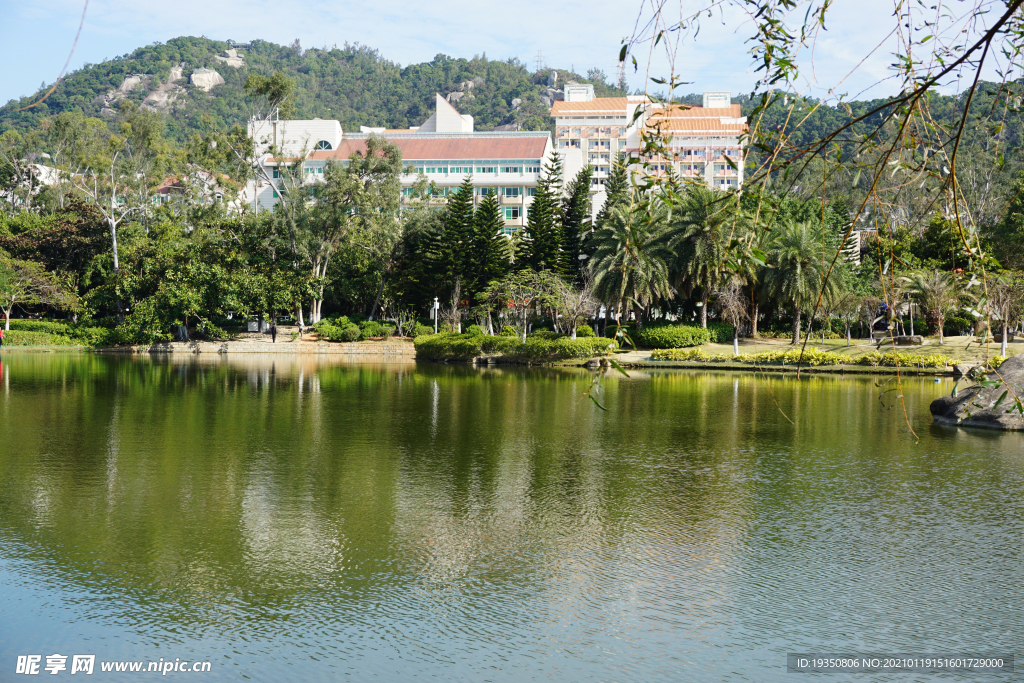 厦门大学校园湖边的景色