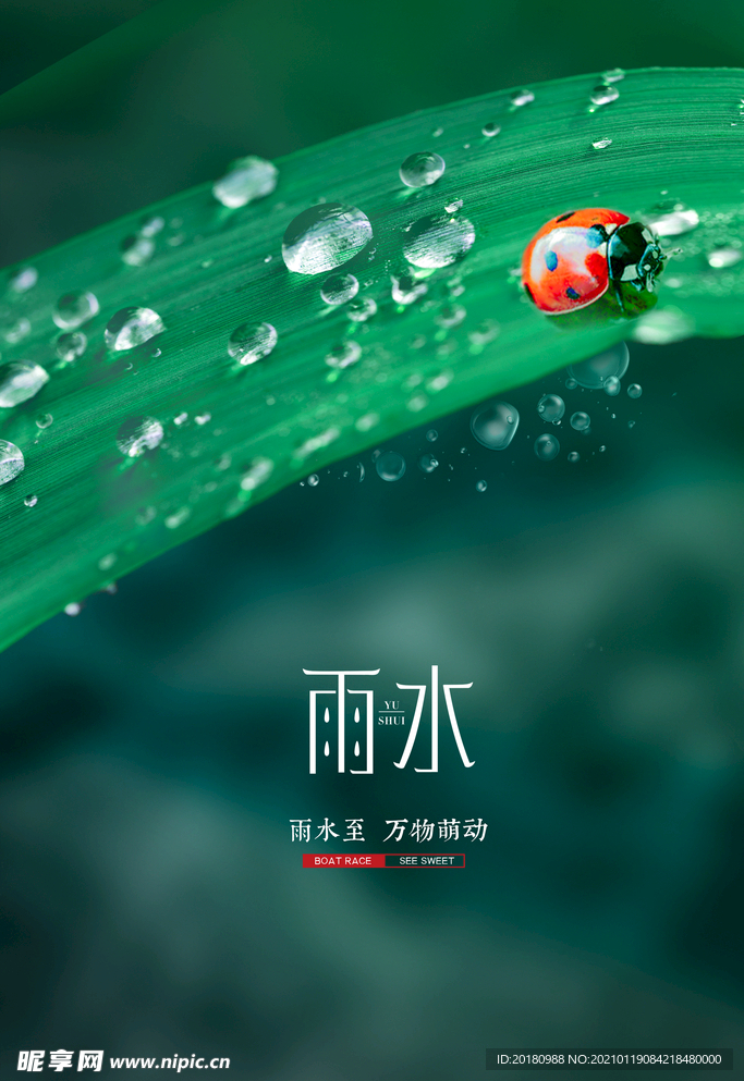 雨水