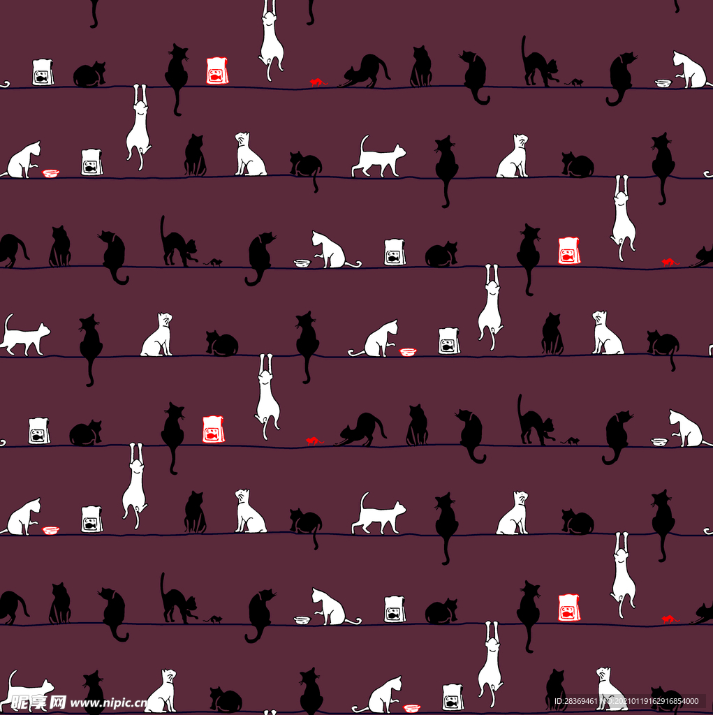 猫咪