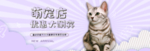 宠物海报