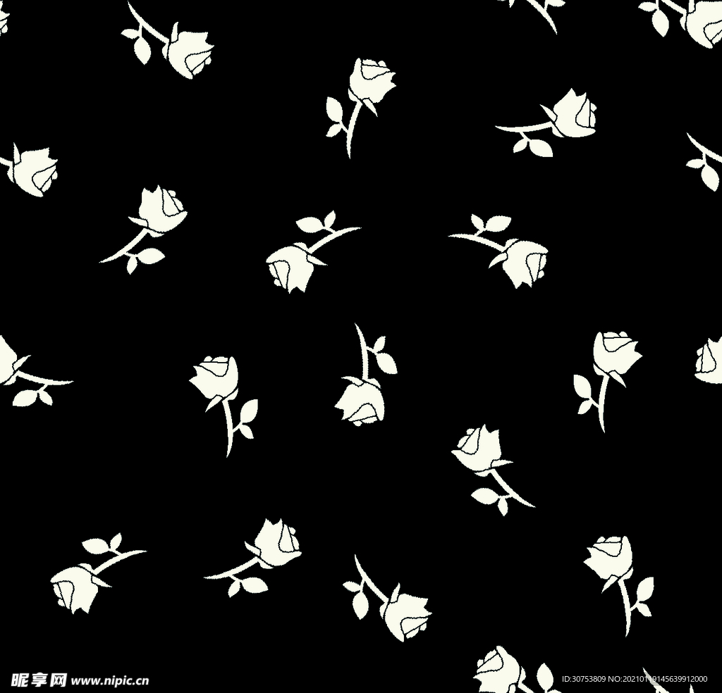 壁纸 一朵红玫瑰，黑色背景 2560x1600 HD 高清壁纸, 图片, 照片