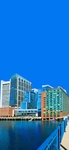 高楼  大厦   图片