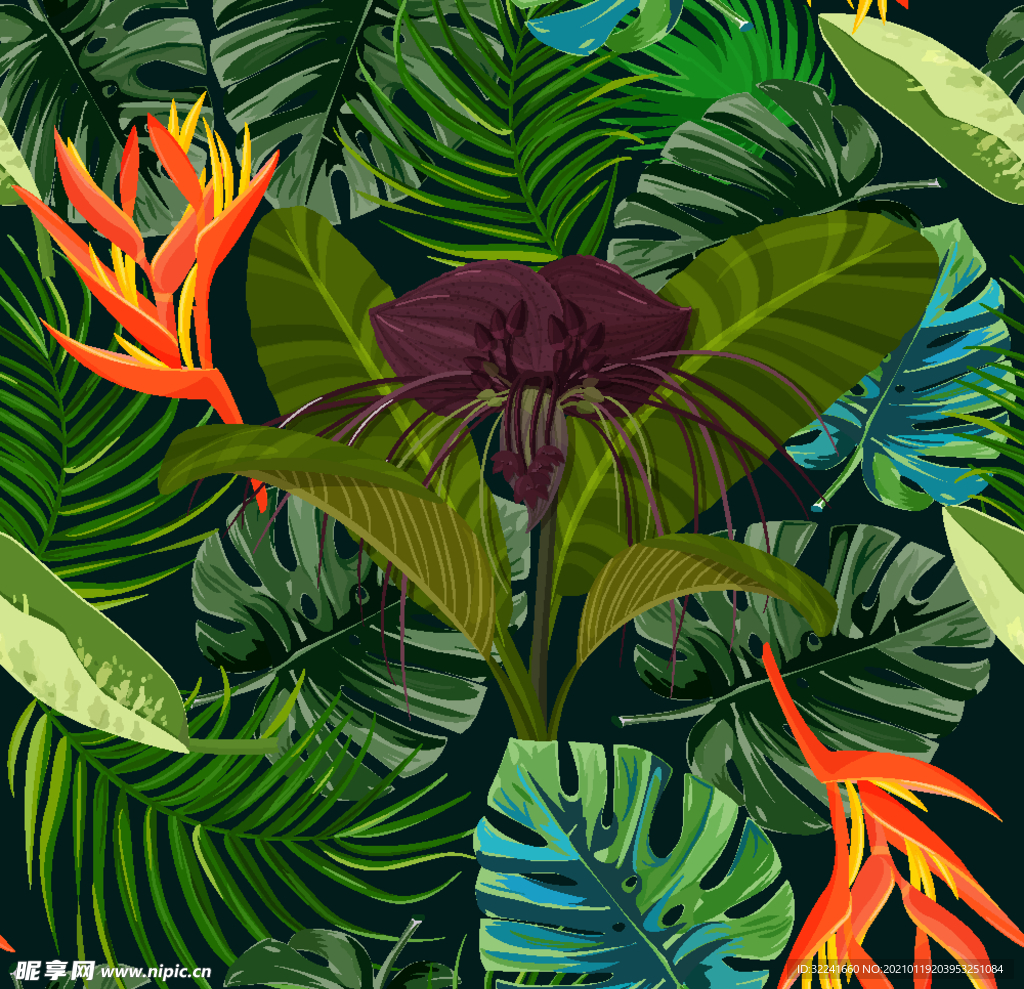 热带植物 龟背叶