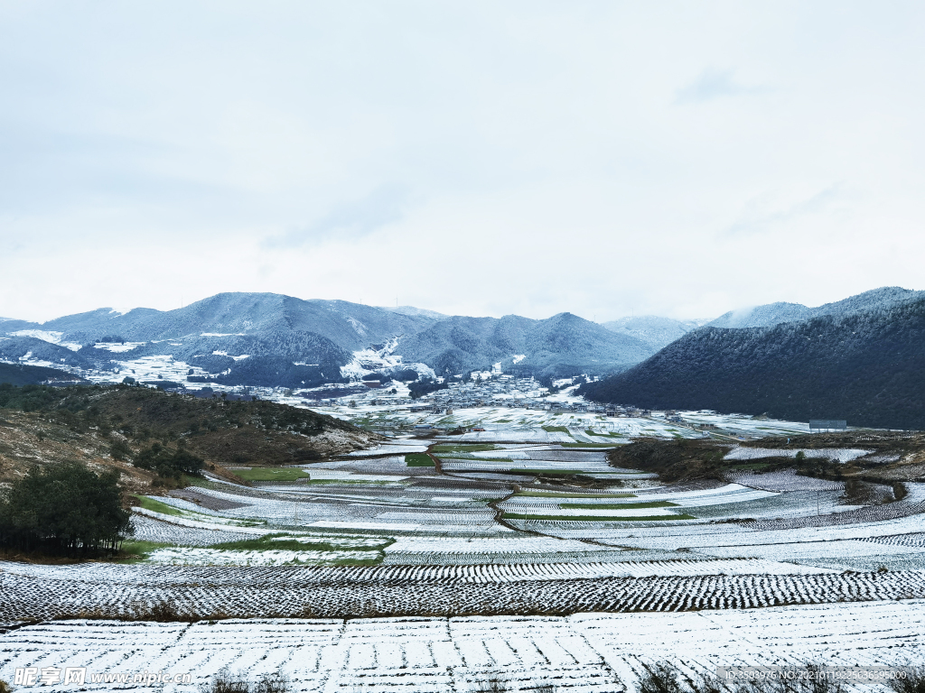 马厂雪景