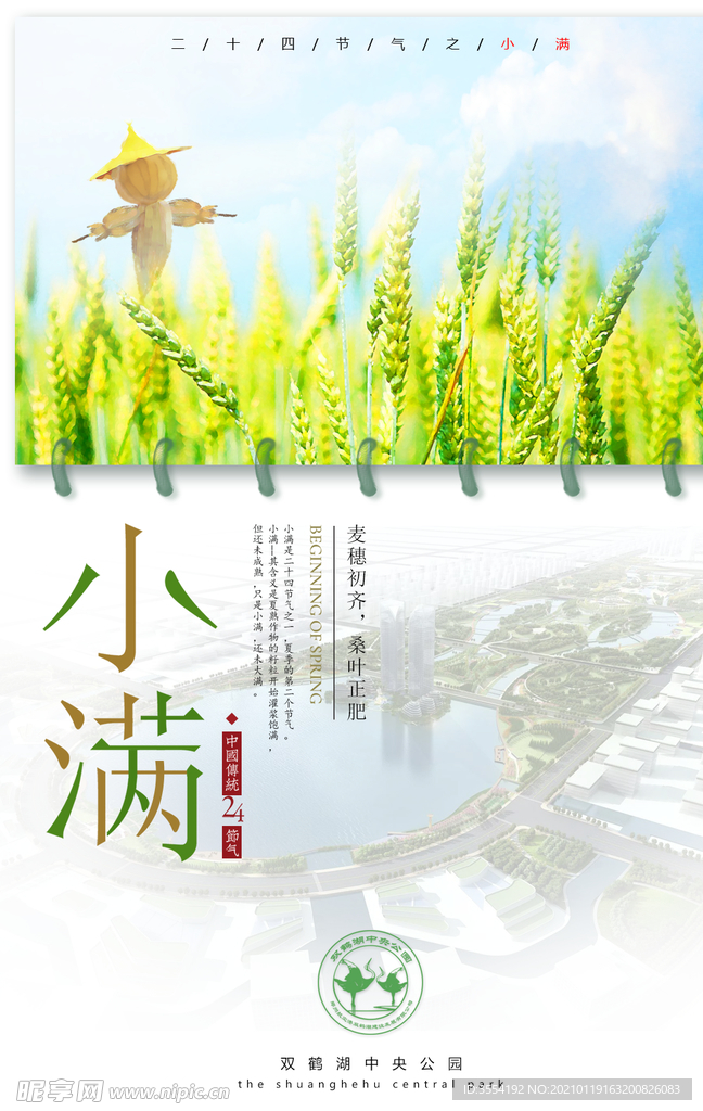 小满节气海报