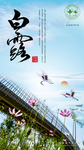 白露 白露节气海报 节气海报