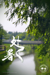 处暑 处暑节气海报