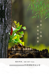 立春节气