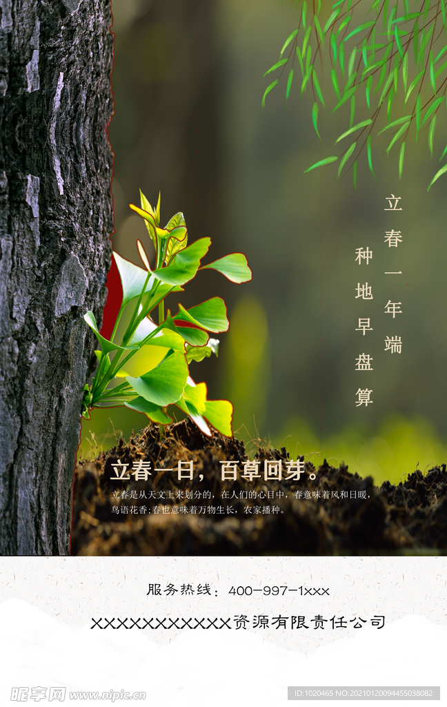 立春节气