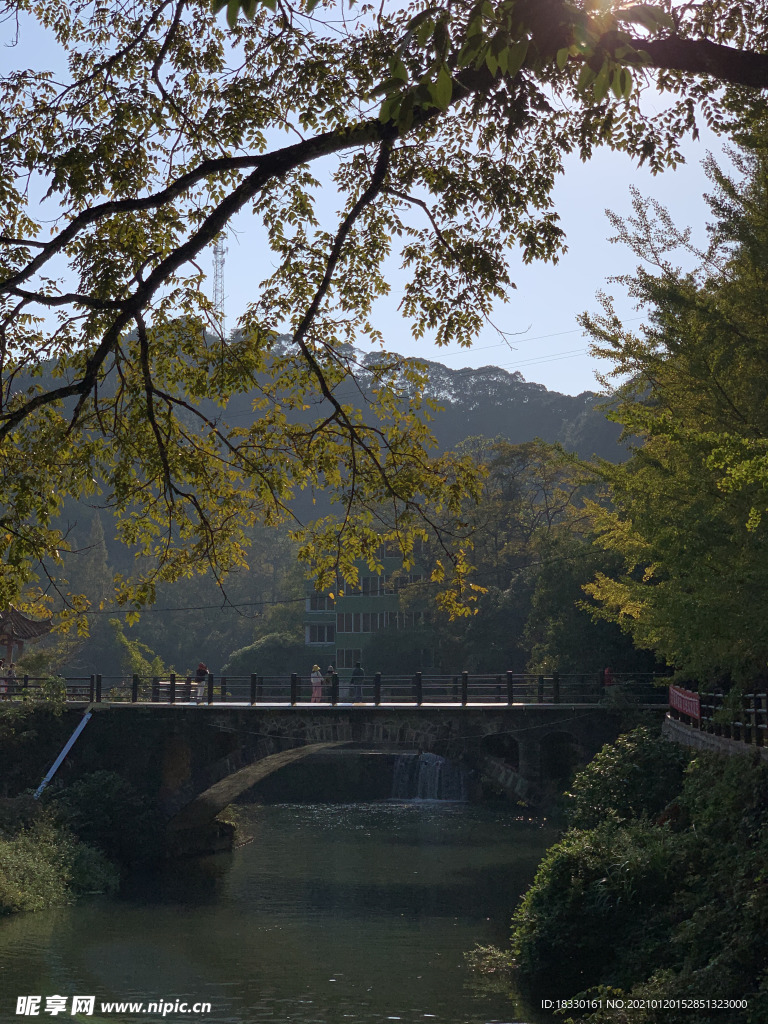 风景