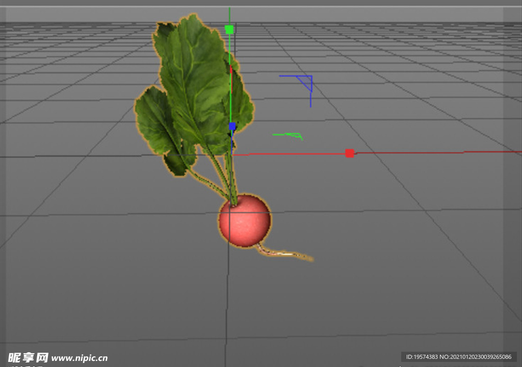 C4D模型红萝卜和萝卜叶子