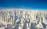 雪景