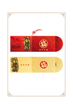 矢量新年邀请函