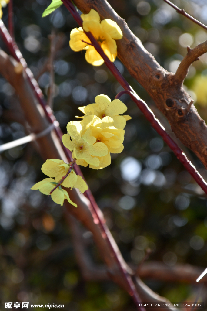 花