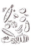 素描蔬菜