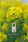 立春