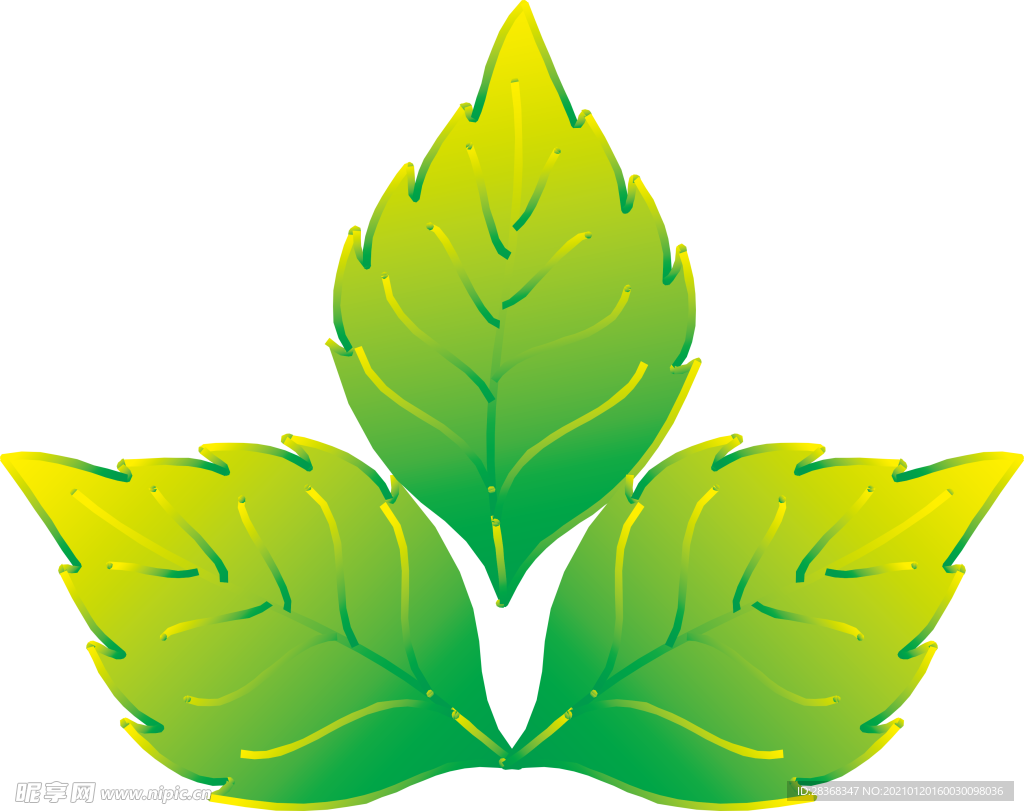欧式植物花纹