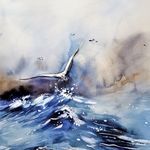 海鸥 水彩 手绘
