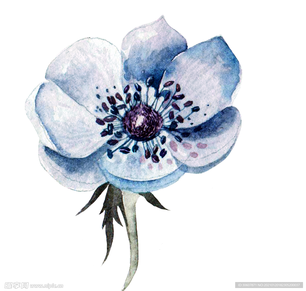水彩花