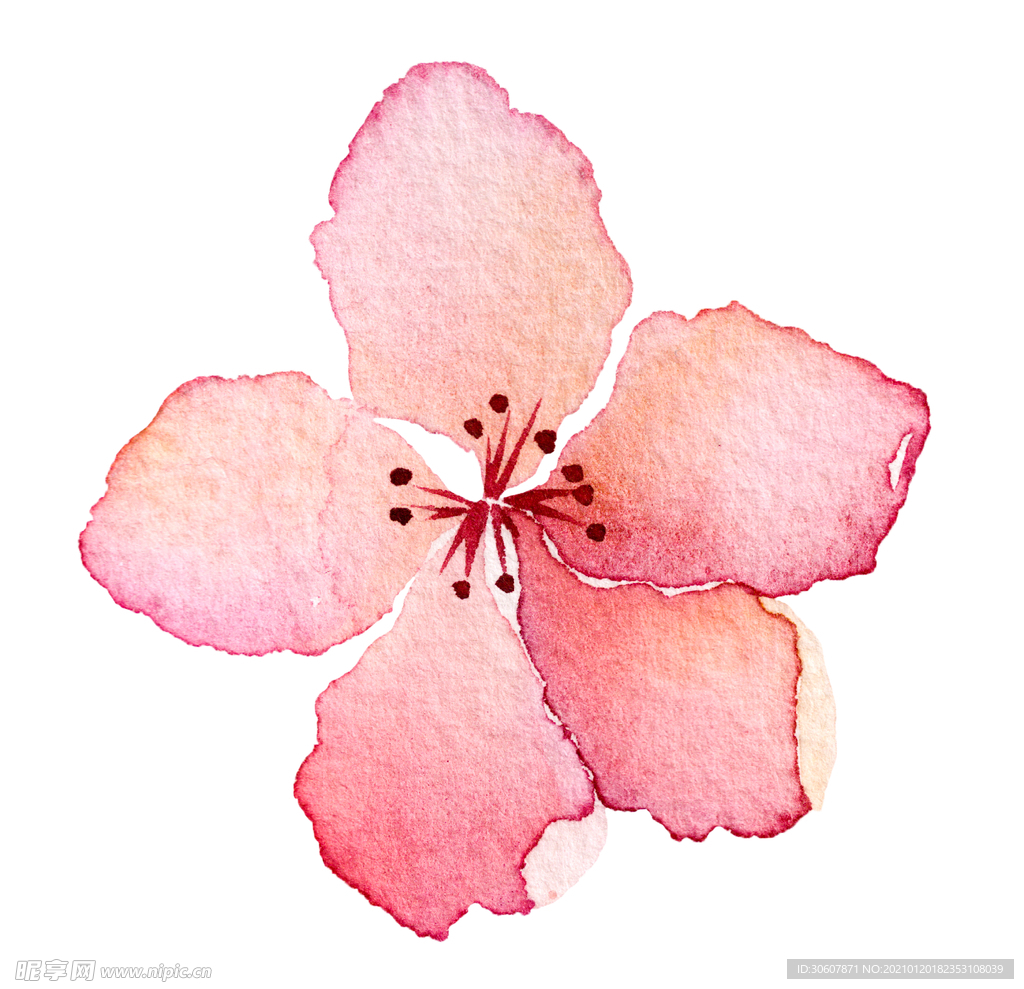 水彩花