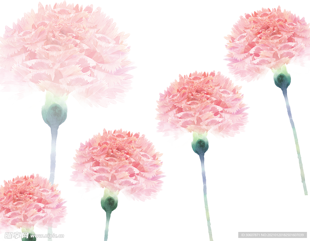 水彩花