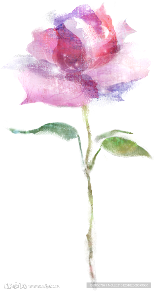水彩花