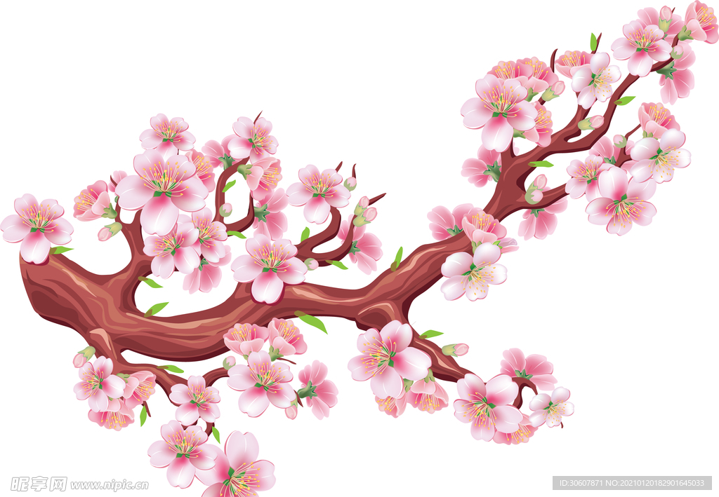 水彩花