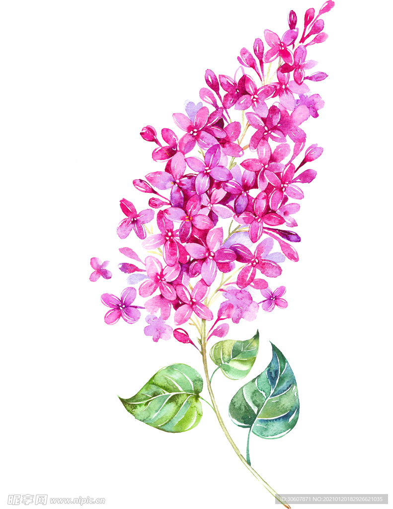 水彩花