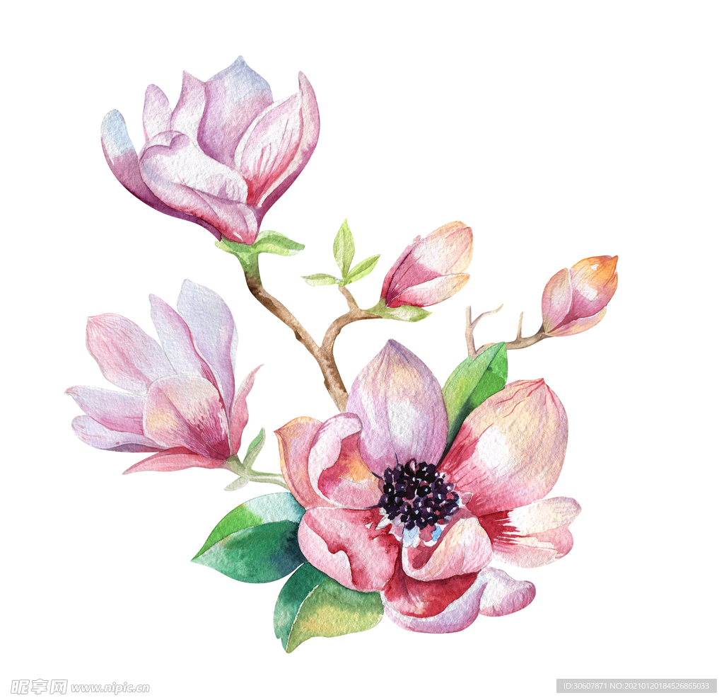 水彩花