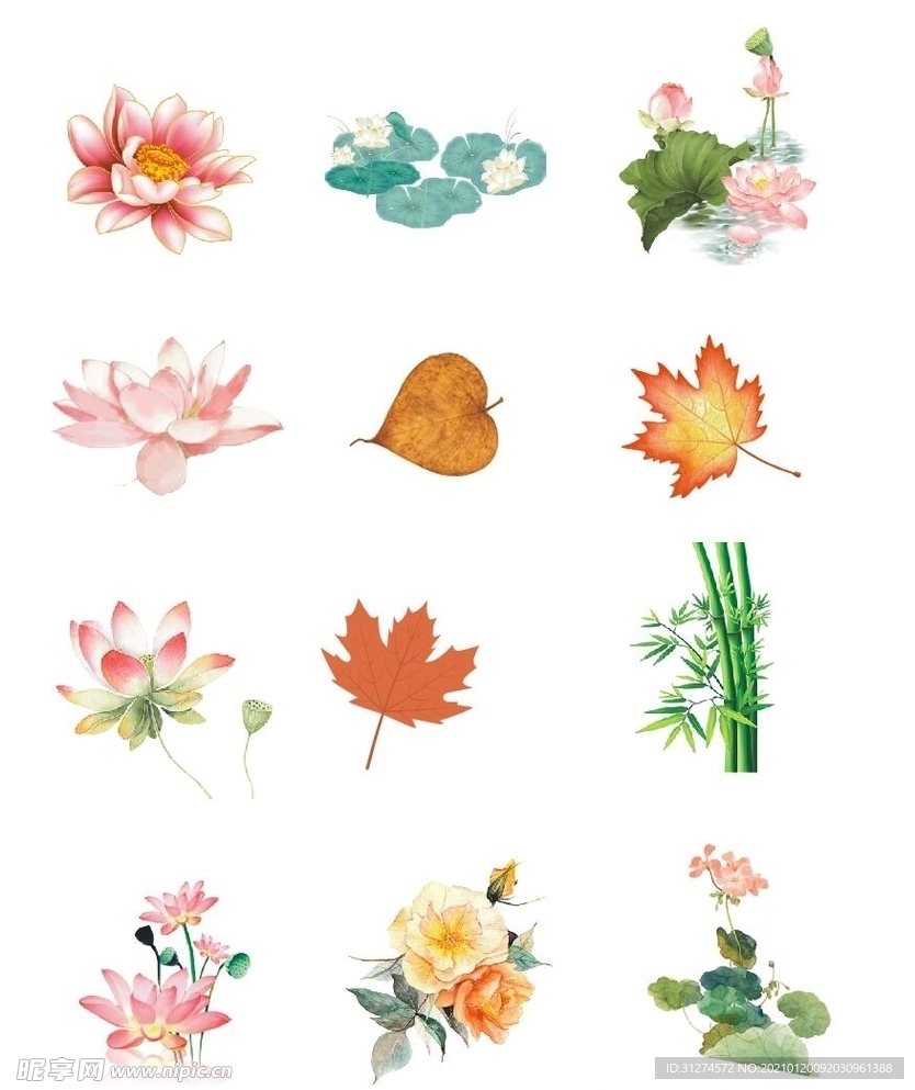 花卉植物素材