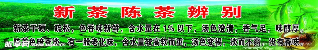 新茶陈茶