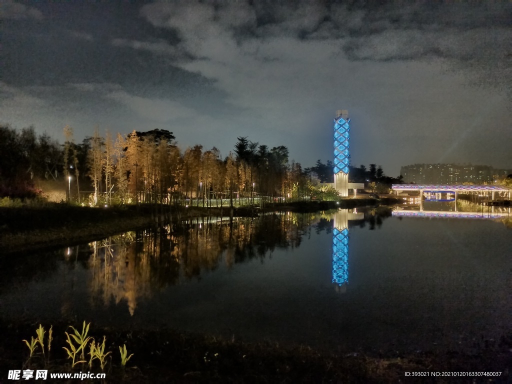 常平常新公园夜景