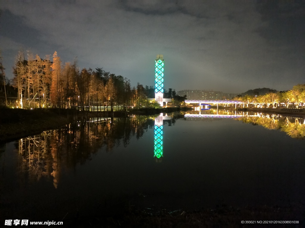 常平常新公园夜景