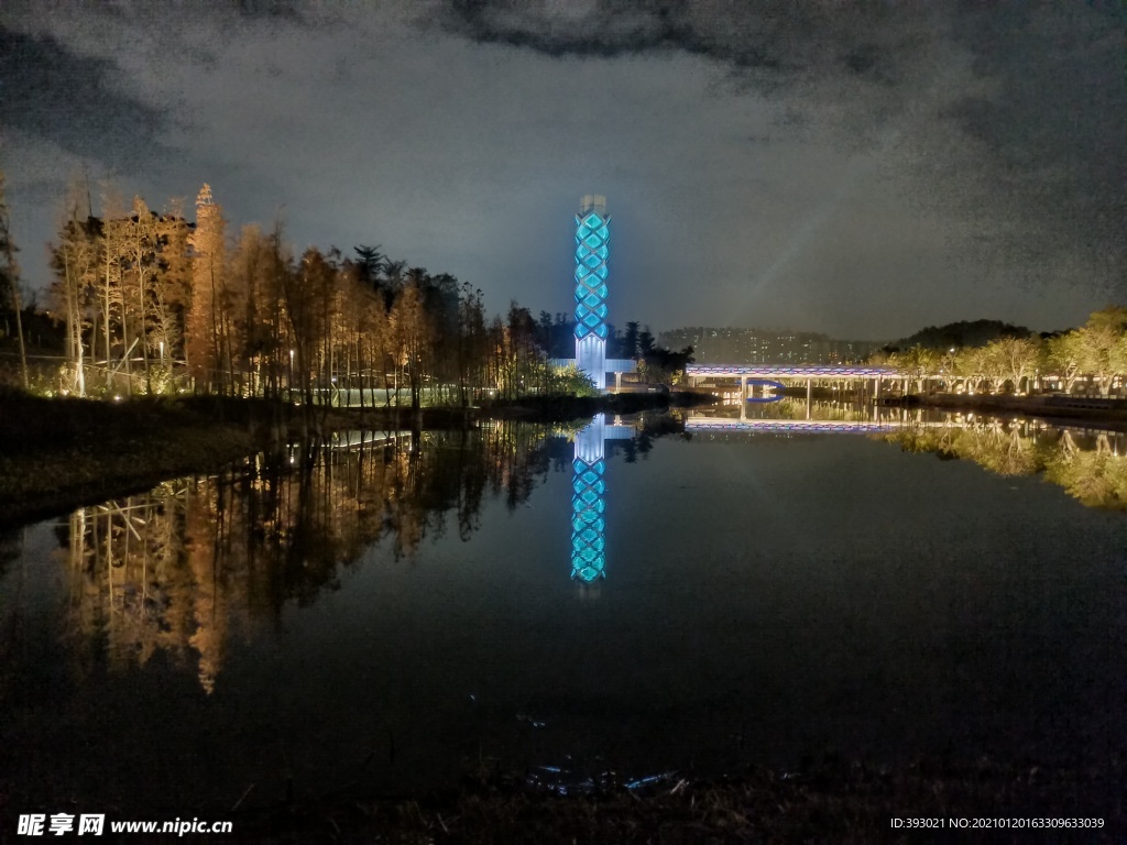 常平常新公园夜景
