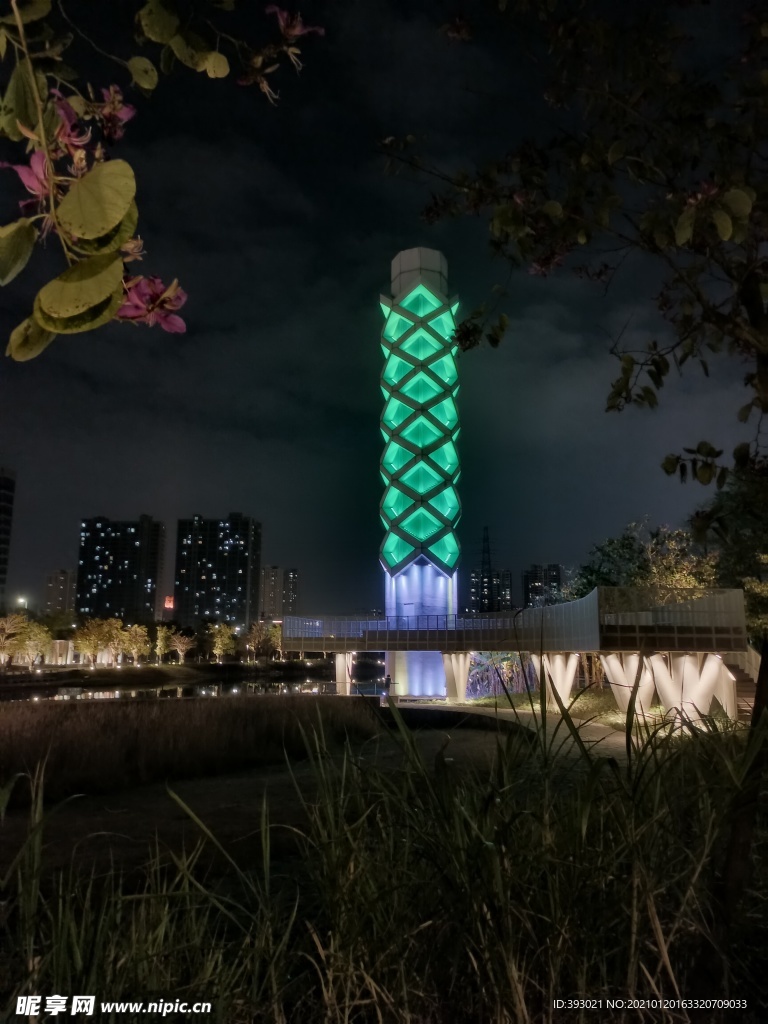 常平常新公园夜景