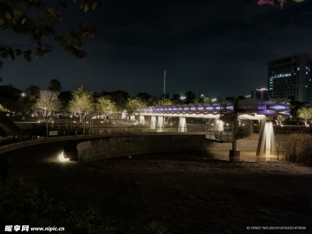 常平常新公园夜景