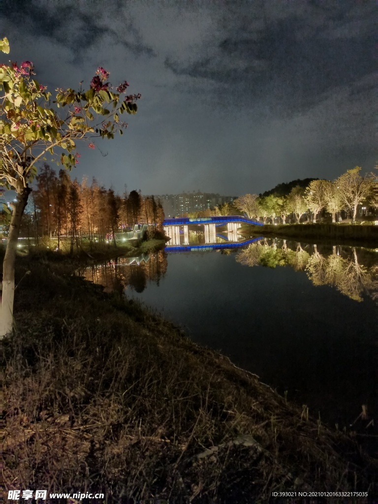 常平常新公园夜景