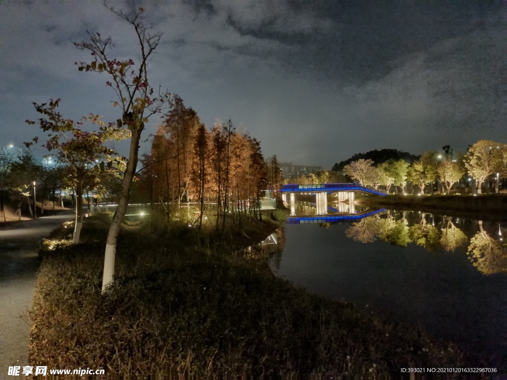 常平常新公园夜景