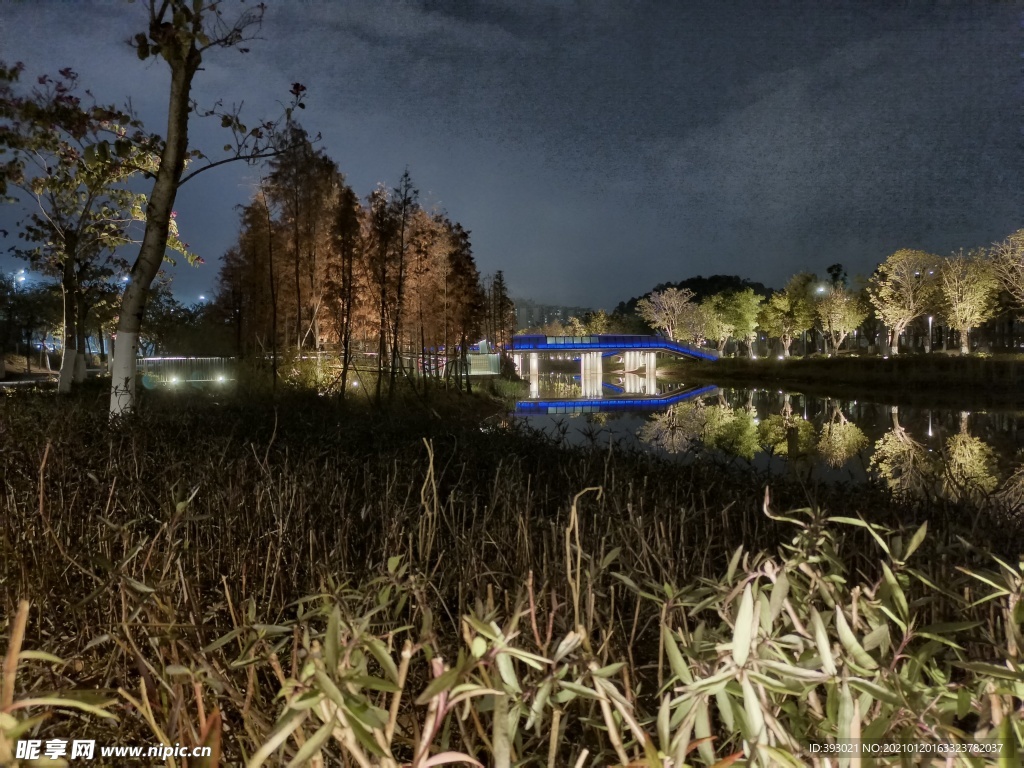 常平常新公园夜景