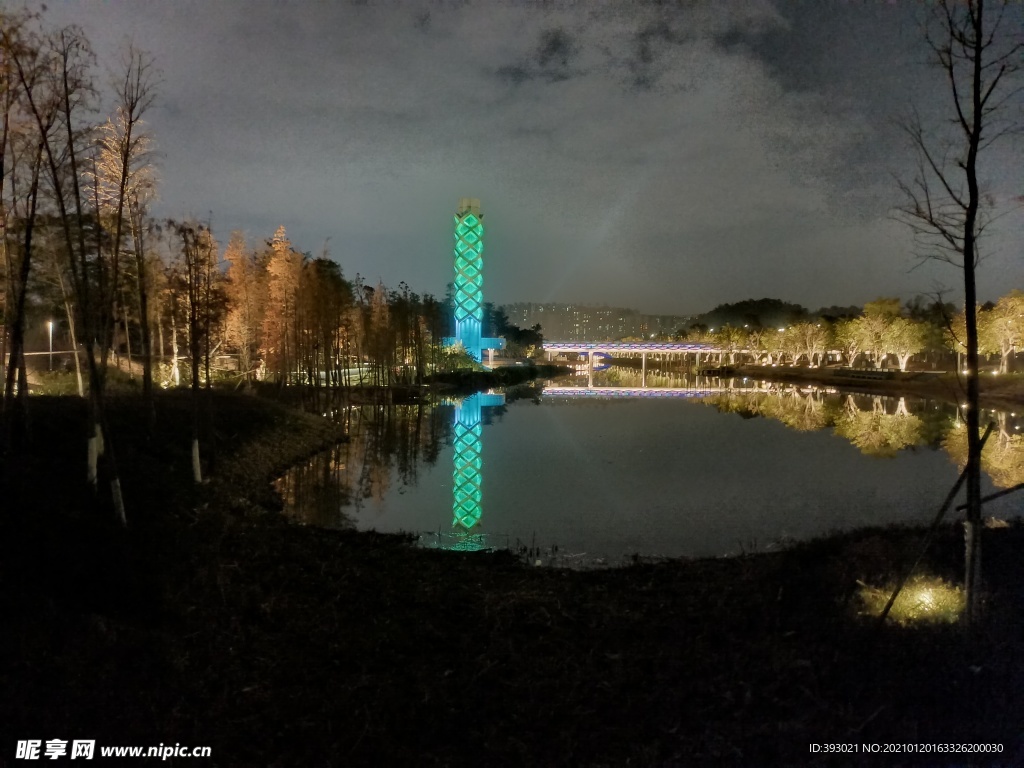 常平常新公园夜景