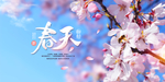 春天