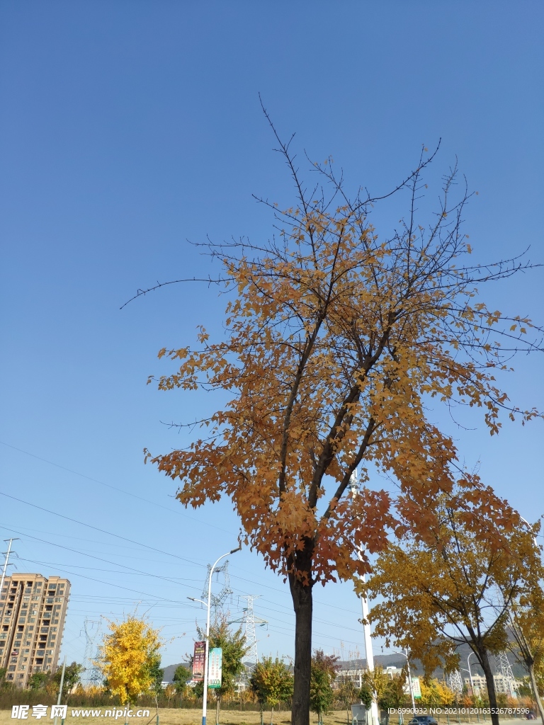 蓝天