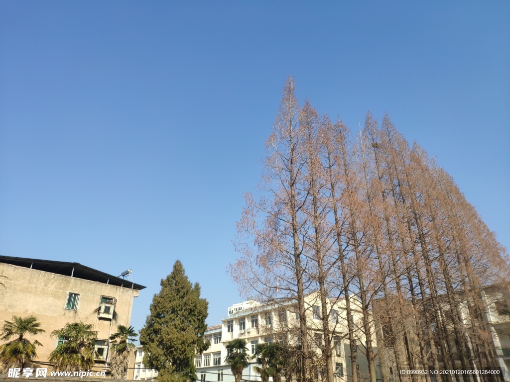 蓝天