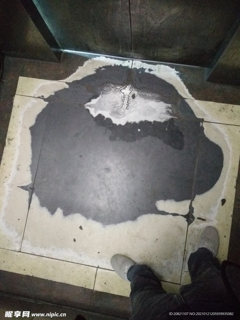 瓷砖解剖