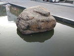 石头